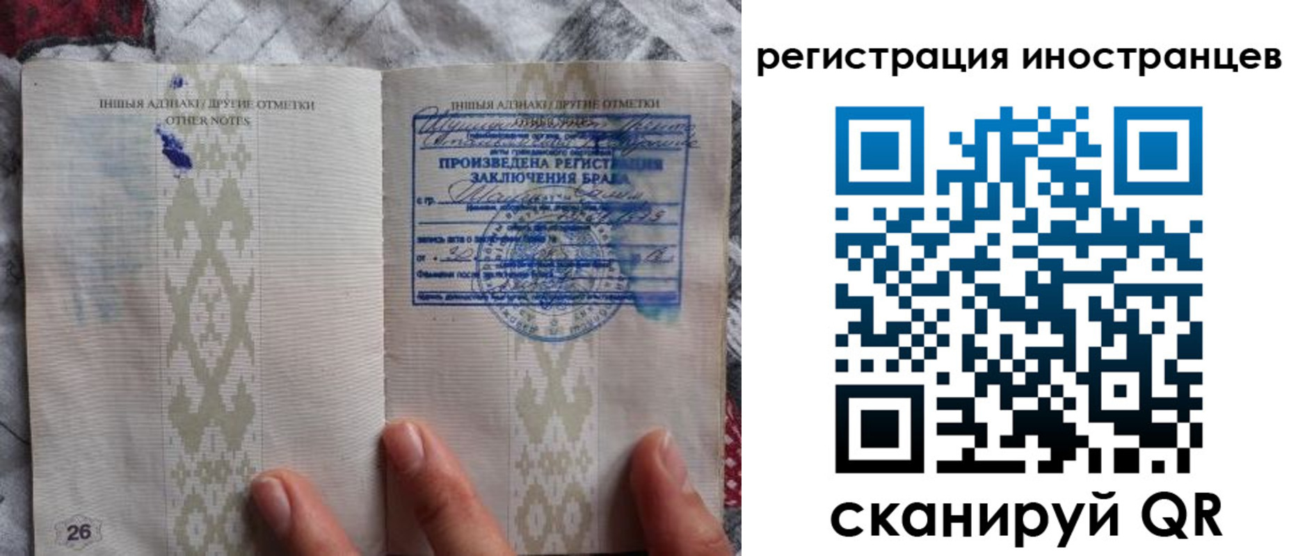 прописка для школы в Чистополье